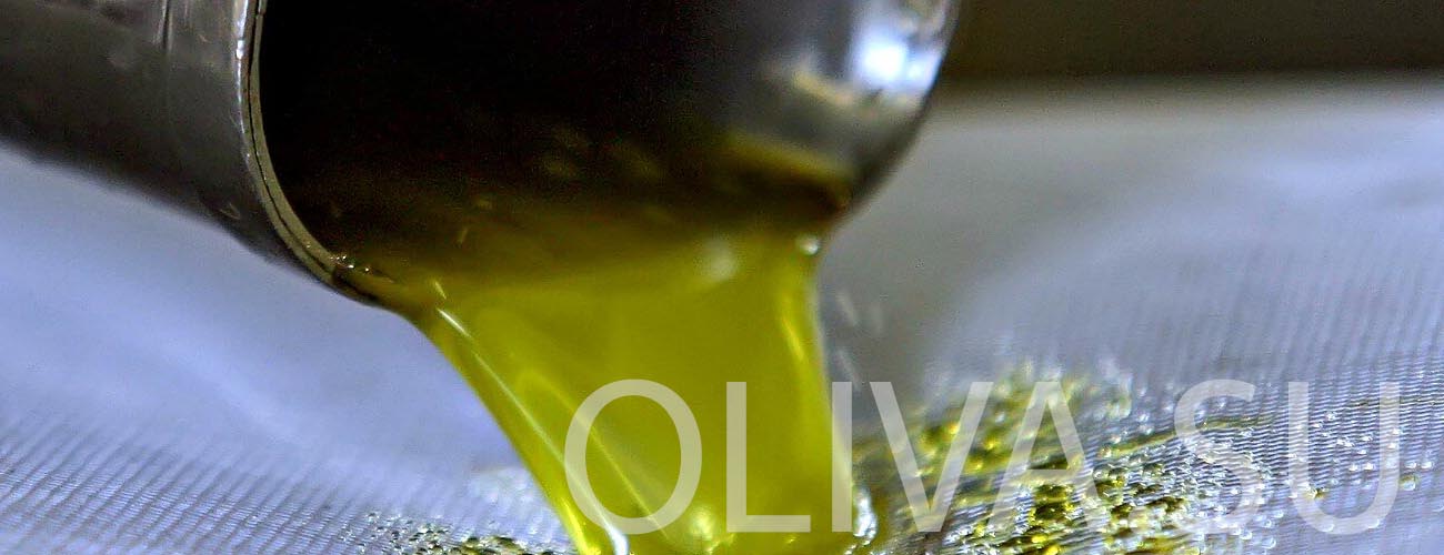 От чего зависит качество оливкового масло