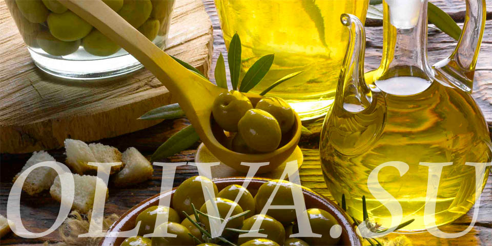 Как выбрать хорошее оливковое масло