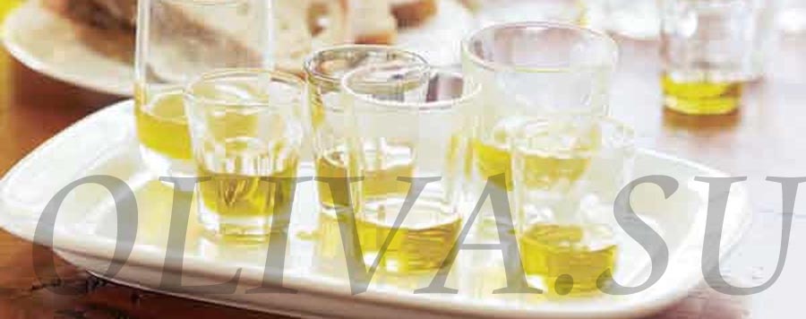 стоимость оливкового масла первого холодного отжима