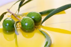 История оливкового масла