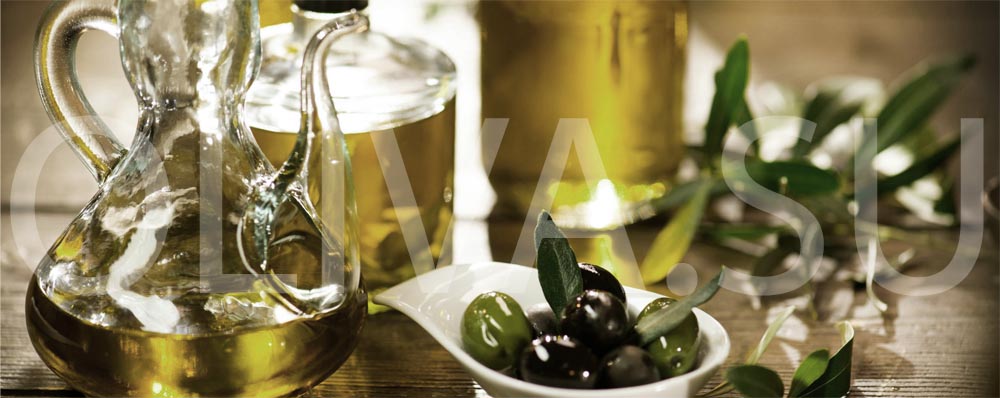 Оливковое масло один из самых ценных продуктов для систем здорового питания